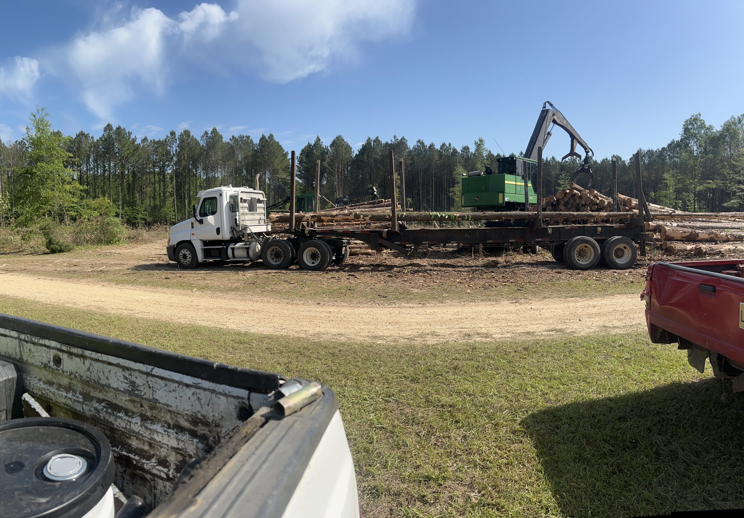 tree removal trucks