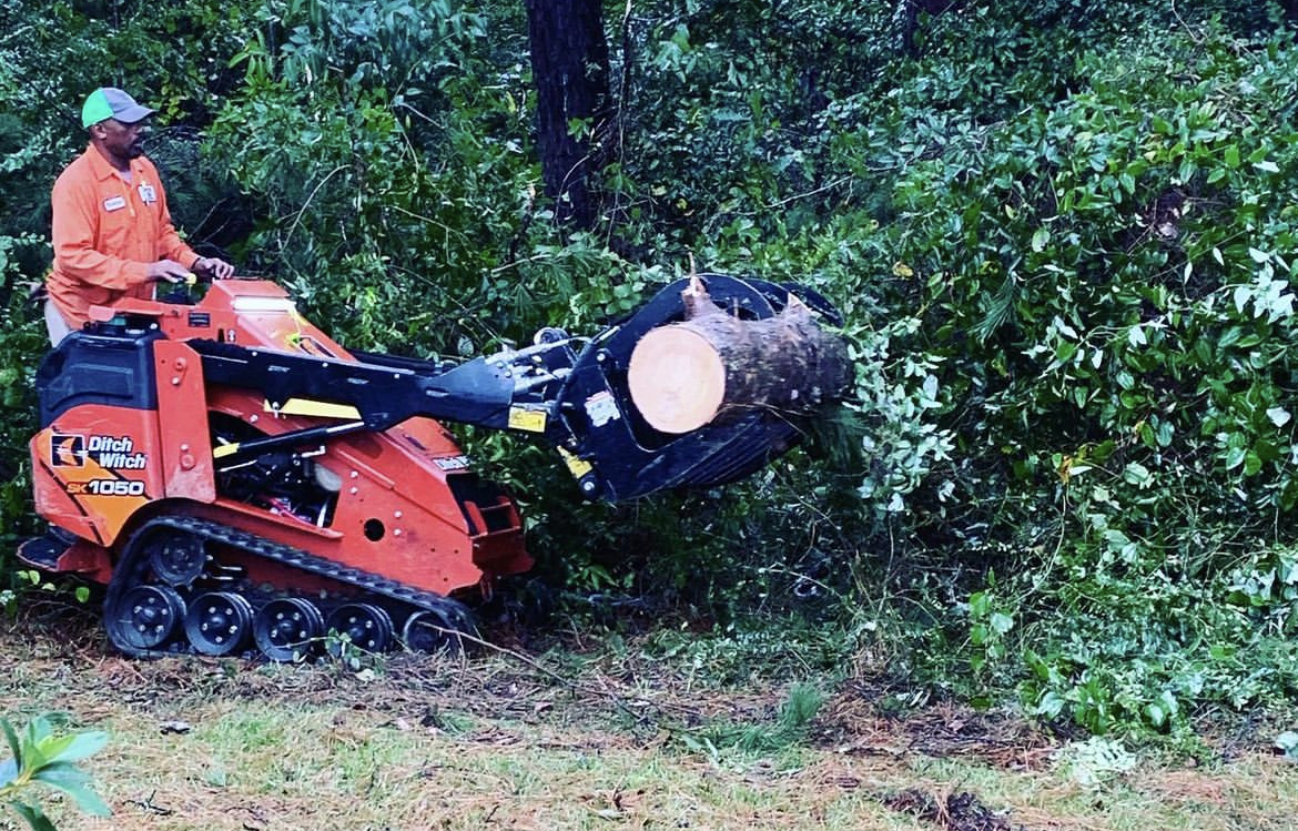 tree removing